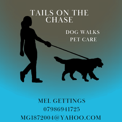 Tails on the chase-Dog Walking Pet care