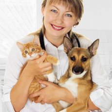 Surbiton Cat/Pet Sitter Available - Cat Sitting/ Dog Walking