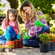Landscape Gardener/Property Maintence Services