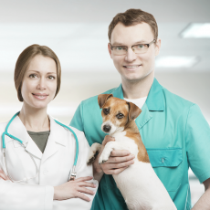 Home Veterinary Services in Central London