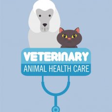 Veterinary Sheffield