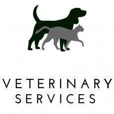 Veterinary services in Liverpool
