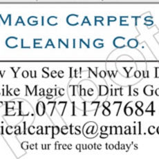 Commercial and household carpet cleaning sales