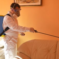 Ask for Your Free Pest Control Quotes in Warrington