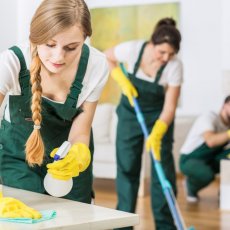 Lady Maid Housekeeping & Cleaning