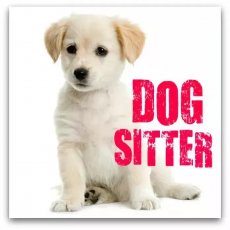 Experienced Dog Sitter - West London
