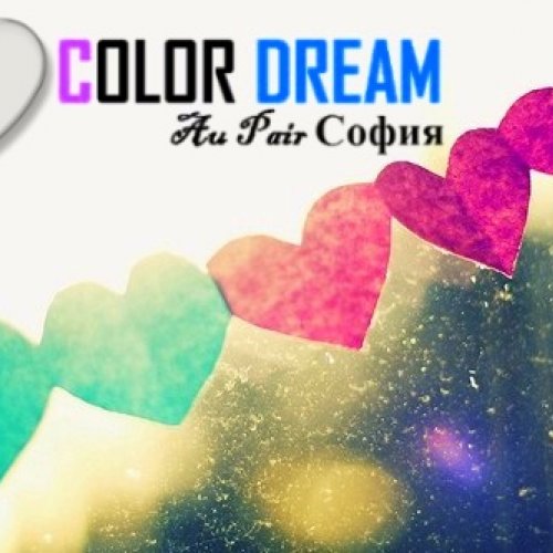 Color Dream LTD