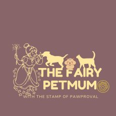 Dog Walker | Pet Sitting