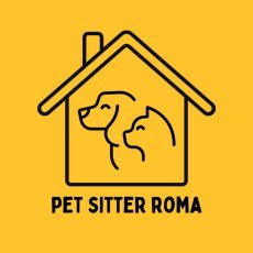 Pet Sitter Roma Cat e Dog Sitter