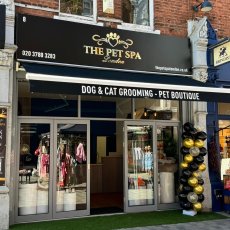 Dog Grooming