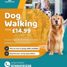 GX Dog Services