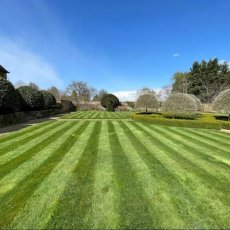 Garden Clearance Services in London & Surrey