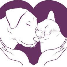 London's at-home veterinary service