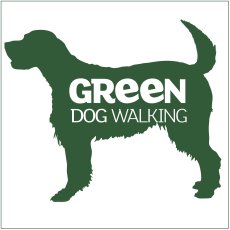 Dog walking & doggy daycare services