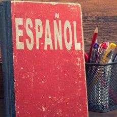 Spanish Evening Language Courses