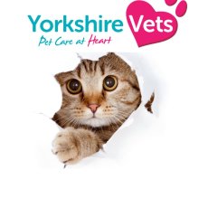 Yorkshire Vets / Emergency Care