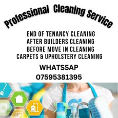 Eco Professional Cleaning Services