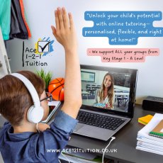 Personalised Tutoring with ACE 1-2-1