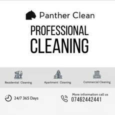 Professional Cleaning Services