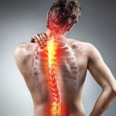 London Spine Specialists