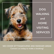 Dog Walking