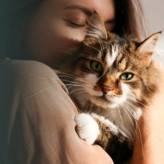 Pet cremation service in London