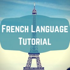 Online French Lessons