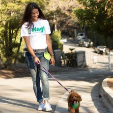 Dog Walking Service and Home Visits