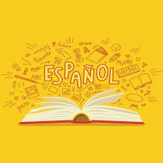Spanish online lessons
