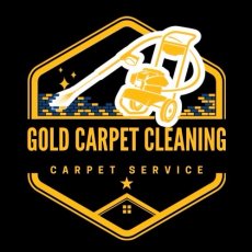 Professional Steam Carpet Cleaning