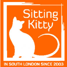 Professional Cat Sitting in South London