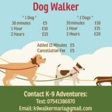 Dog walker in Kent