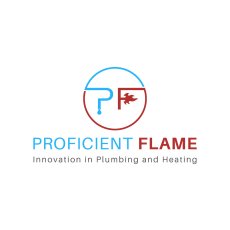 GAS, PLUMBER, BOILER SERVICE