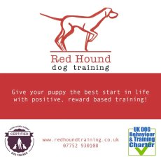 Certified Force-free Positive Dog Training in London