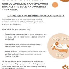 Volunteer Dog Walkers at University of Birmingham