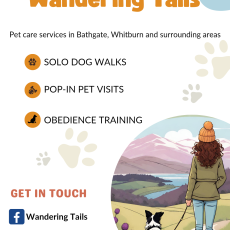 Solo dog walking & drop-in visits West Lothian
