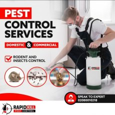 Pest Control 100% Guaranteed