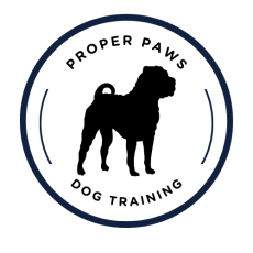 Dog training & walking in Newark