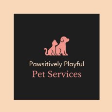 Dog walker available St Albans