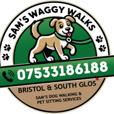 Dog walking and pet sitting