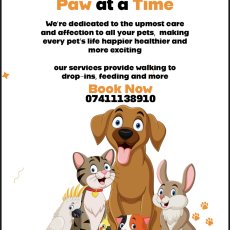 Dog walker/animal care