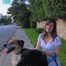 Dog walking