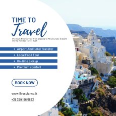 PRIVATE DRIVER MILAN MALPENSA