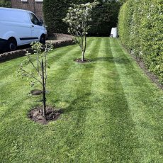 Gardening & Landscaping Services in West London