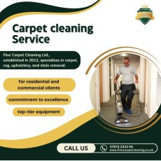 PROFESSIONAL CARPET CLEANING