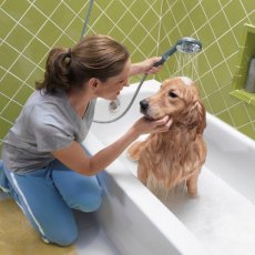 Pet Care Services in London