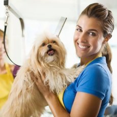 Pet Day Care/ Boarding and Grooming