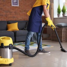 Domestic Cleaning Services