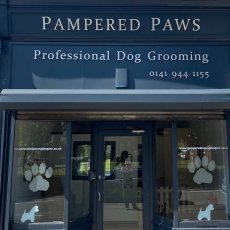 Dog Groomer Glasgow